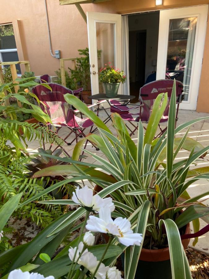 Mermaid'S Cottage West Palm Beach Dış mekan fotoğraf
